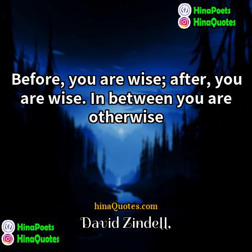 David Zindell Quotes | Before, you are wise; after, you are
